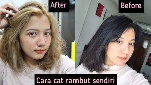 Cat Rambut Miranda coklat