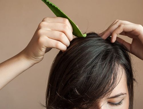 Manfaat Lidah Buaya untuk Rambut